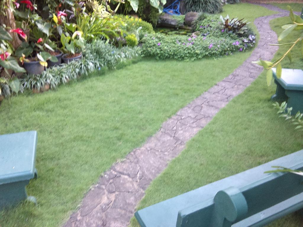 Glory Homestay Kandy Exteriér fotografie